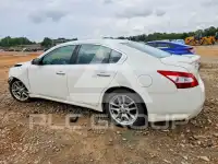 2010 Nissan MAXIMA photo