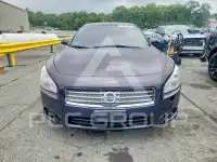 2010 Nissan MAXIMA photo
