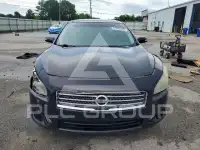 2010 Nissan MAXIMA photo