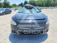 2010 Nissan MAXIMA photo