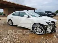 2010 Nissan MAXIMA photo