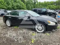 2010 Nissan MAXIMA photo