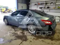 2010 Nissan MAXIMA photo