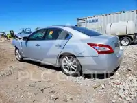 2010 Nissan MAXIMA photo