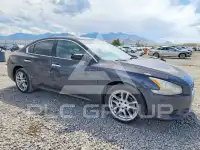 2010 Nissan MAXIMA photo