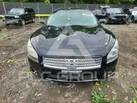 2010 Nissan MAXIMA photo