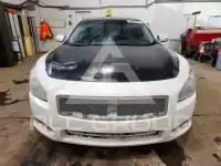 2010 Nissan MAXIMA photo