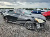 2010 Nissan ALTIMA photo