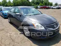 2010 Nissan ALTIMA фото