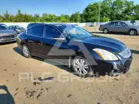 2010 Nissan ALTIMA фото