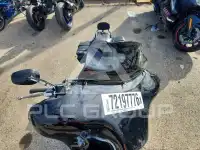 2010 Harley-Davidson FL фото