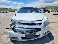 2010 Chevrolet Malibu фото