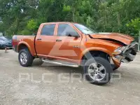 2010 Dodge RAM фото