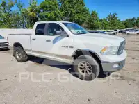 2010 Dodge RAM photo