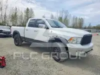 2010 Dodge RAM photo