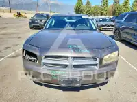 2010 Dodge CHARGER фото