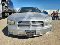 2010 Dodge CHARGER фото