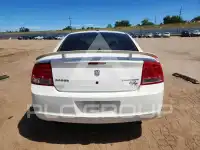 2010 Dodge CHARGER фото