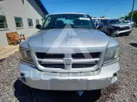 2010 Dodge DAKOTA photo