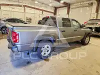 2010 Dodge DAKOTA photo
