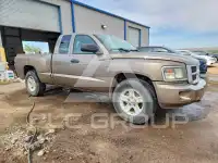 2010 Dodge DAKOTA photo