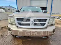 2010 Dodge DAKOTA photo