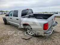 2010 Dodge DAKOTA photo