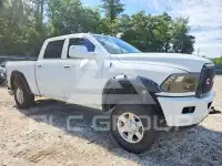 2010 Dodge RAM photo