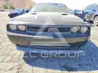 2010 Dodge CHALLENGER photo