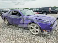 2010 Dodge CHALLENGER photo