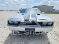 2010 Dodge CHALLENGER фото