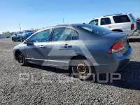2010 Acura CSX photo