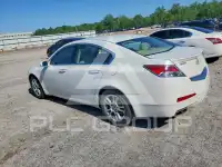 2010 Acura TL фото