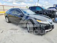 2010 Acura TL фото
