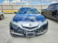2010 Acura TL фото