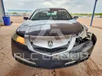 2010 Acura TL фото