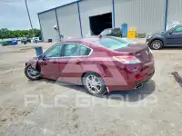 2010 Acura TL photo