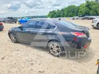 2010 Acura TL фото
