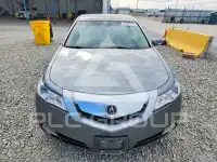 2010 Acura TL фото