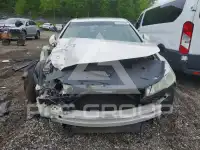 2010 Acura TL фото