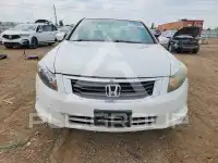 2010 Honda Accord photo