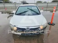 2010 Honda CIVIC фото