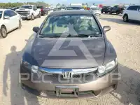 2010 Honda CIVIC фото