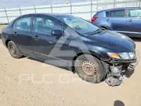 2010 Honda CIVIC photo