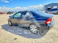 2010 Honda CIVIC photo