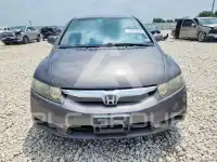 2010 Honda CIVIC фото