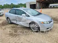 2010 Honda CIVIC фото