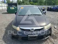 2010 Honda CIVIC photo