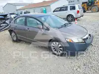 2010 Honda CIVIC фото