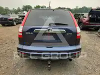 2010 Honda CR-V photo